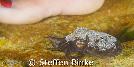 Different Sizes by Steffen Binke 